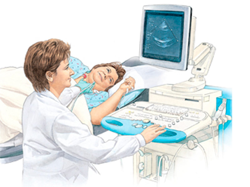 Exame ecocardiograma