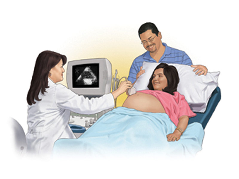 Exame ecocardiograma